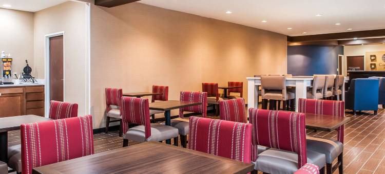 舒适酒店-普莱恩菲尔德-印第安纳波利斯机场(Comfort Inn Plainfield - Indianapolis Airport)图片