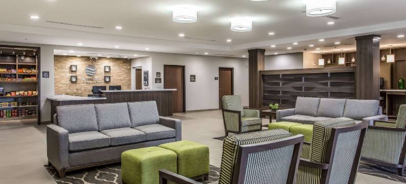 舒适套房酒店(Comfort Inn & Suites Snyder)图片