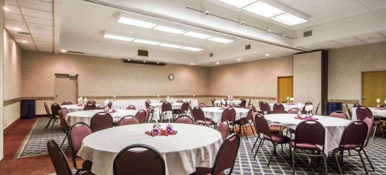 舒适酒店及套房麦迪逊机场(Comfort Inn & Suites Madison - Airport)图片