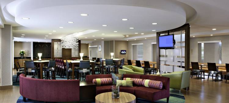 北斯科特斯德万豪SpringHill酒店(SpringHill Suites Scottsdale North)图片
