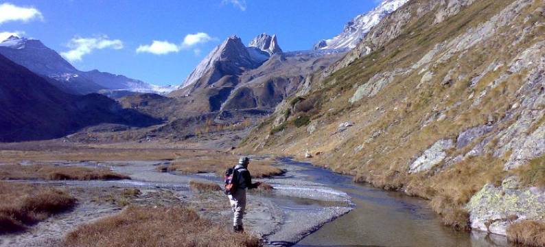 埃德维斯酒店(Hotel Edelweiss)图片