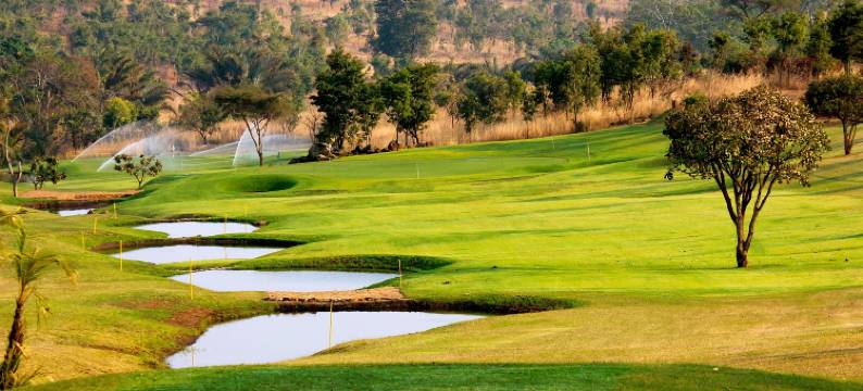 游戏天堂旅馆(Game Haven Lodge)图片