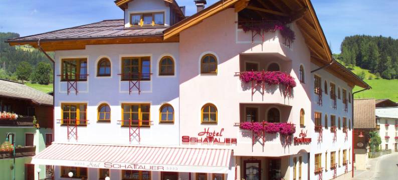 沙陶尔酒店(Hotel Schattauer)图片