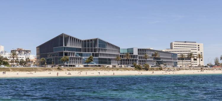 帕尔马湾美利亚酒店(Melia Palma Bay)图片