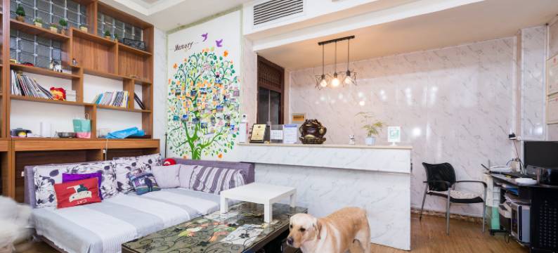 梦想旅行家太空舱青年旅社(西安钟楼回民街店)图片