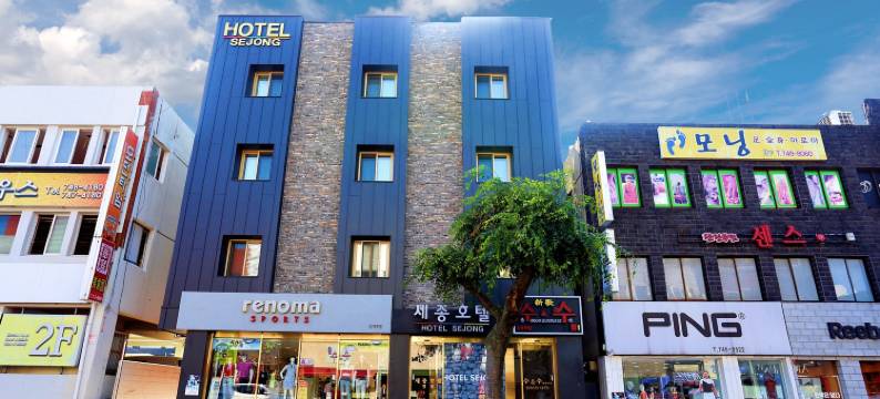 世宗酒店(Sejong Hotel)图片