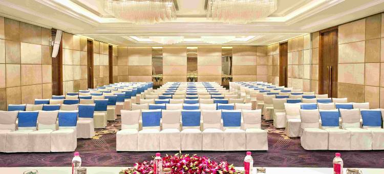 新德里马尤尔维哈尔诺伊达假日酒店(Holiday Inn New Delhi Mayur Vihar Noida)图片