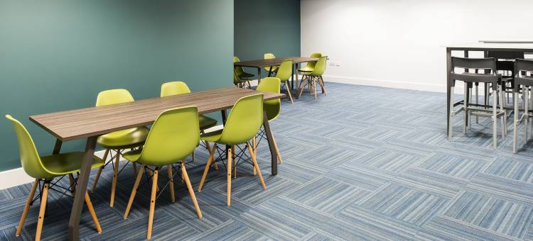 荷里路德德斯蒂尼学生旅馆(Destiny Student - Holyrood (Brae House))图片