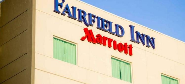 洛斯卡沃斯万枫酒店(Fairfield by Marriott Los Cabos)图片