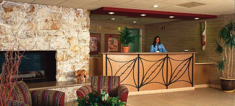 野生动物园海岸酒店(Safari Inn, a Coast Hotel)图片