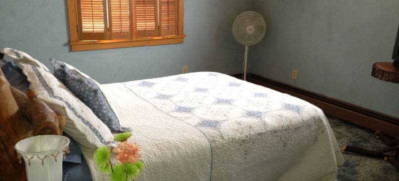 Oz 家庭旅馆(Oz's Homestay)图片