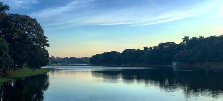 帕姆普哈诺比尔旅馆(Nobile Inn Pampulha)图片