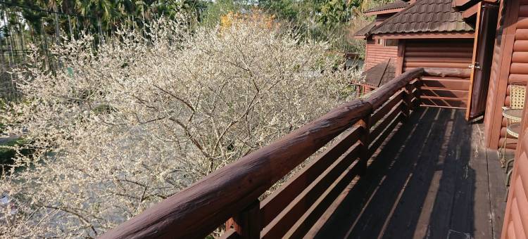 樱花岭渡假山庄图片