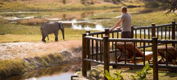 贝梦德游猎营地(Belmond Safaris)图片