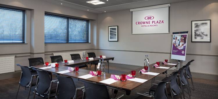 Crowne Plaza 伯明翰(Crowne Plaza Birmingham NEC)图片