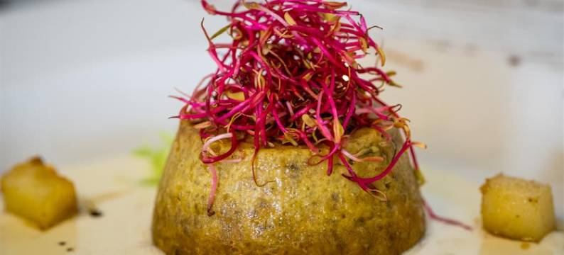 依尔维缇雅温泉酒店(Hotel Helvetia Thermal Spa)图片