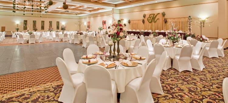 Holiday Inn 科尔尼(Holiday Inn Kearney)图片