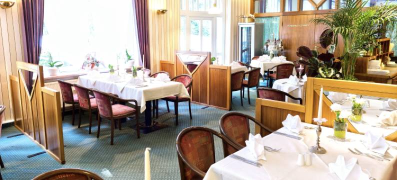 米拉尼公园酒店(Parkhotel Meerane)图片