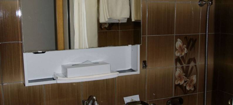 阿尔法策马特酒店(Hotel Alfa Zermatt)图片