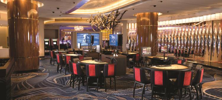 国家港湾美高梅国际度假酒店(MGM National Harbor)图片