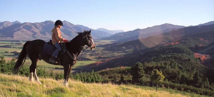 阿舒瑞汉默汽车旅馆(Asure Hanmer Inn Motel Hanmer Springs)图片