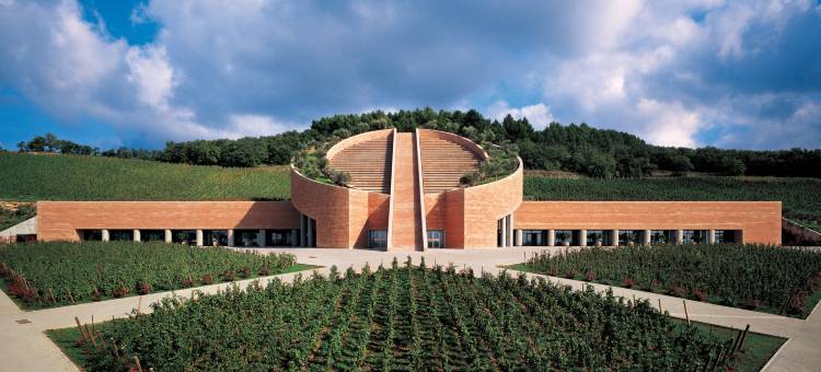 安达纳特努塔巴迪奥拉酒店(L'Andana Tenuta la Badiola)图片
