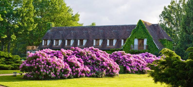 Auberge des Templiers图片