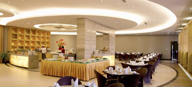 明星机场酒店(Dara Airport Hotel)图片