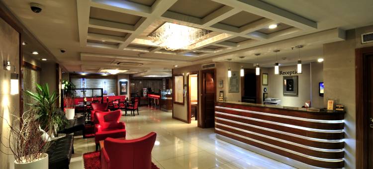 伊斯坦布尔金城大酒店(Istanbul Golden City Hotel)图片