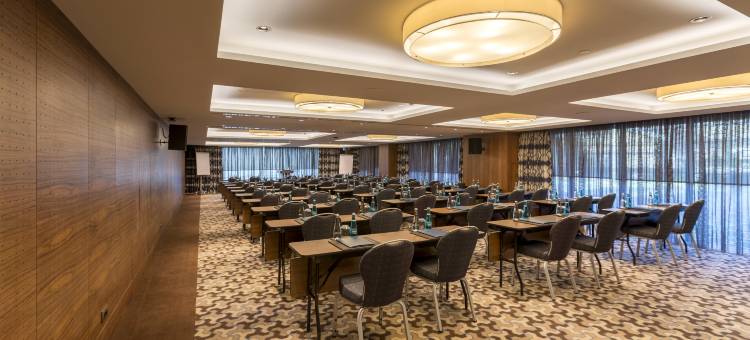 伊斯坦布尔金色郁金香酒店(Golden Tulip Istanbul Bayrampasa)图片