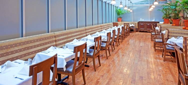 切尔西曼哈顿第六大道假日酒店(Holiday Inn Manhattan 6th Ave - Chelsea)图片
