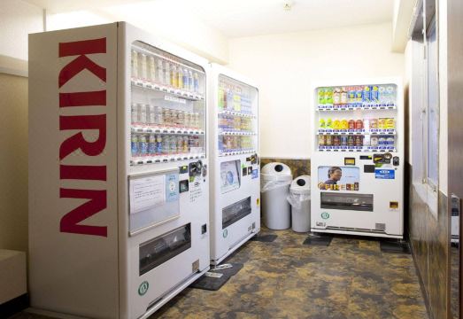 Pearl Hotel KayabachoHotel Overview