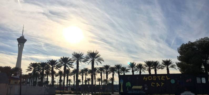 Bungalows旅馆(Bungalows Hostel)图片