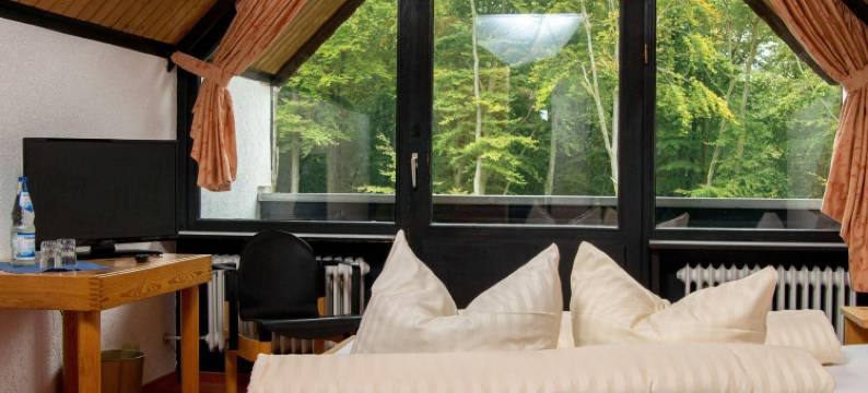 维斯特瓦尔德酒店(Landhotel Westerwald)图片