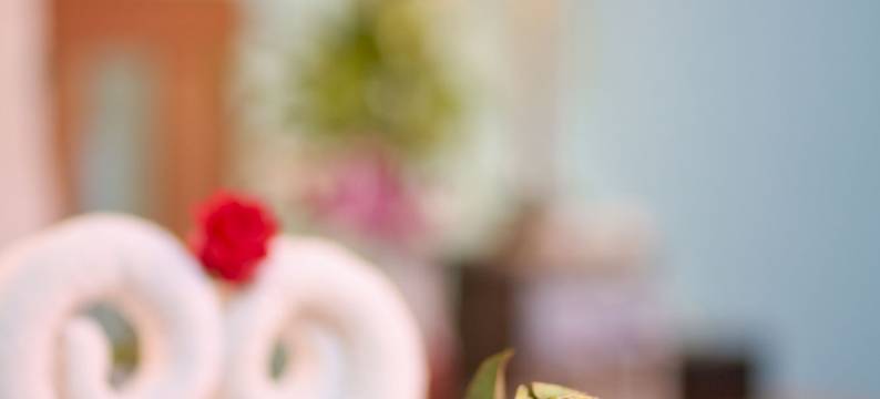 我的花园别墅旅舍(My Home Villa Inn Siem Reap)图片