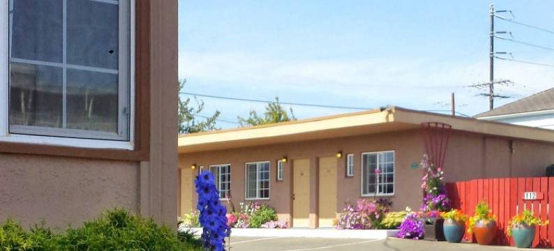 上城酒店(Uptown Inn)图片