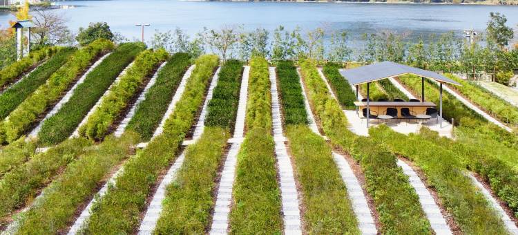 星野集团 界 远州(Hoshino Resorts Kai Enshu)图片