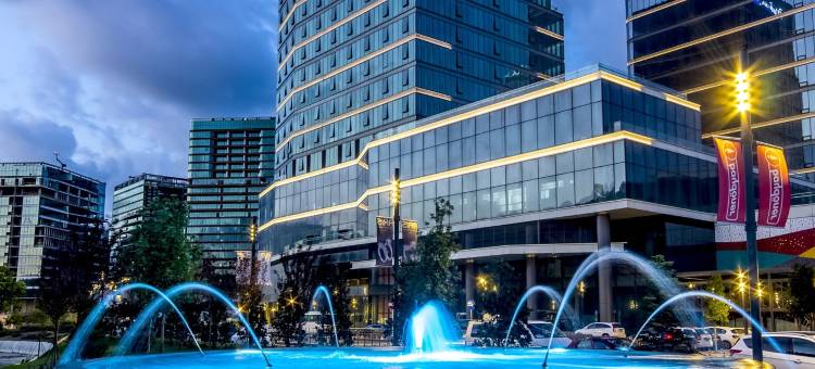瓦迪斯坦布尔丽笙精选酒店(Radisson Collection Hotel Vadistanbul)图片