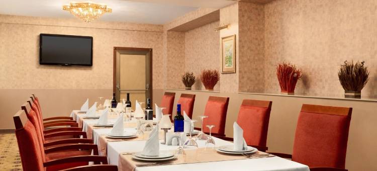 让斯温德姆华美达广场酒店(Ramada Plaza by Wyndham Gence)图片