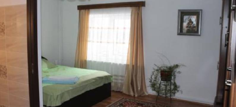 Pensiunea Alecsandra图片