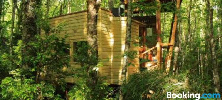 Casita Arbol图片
