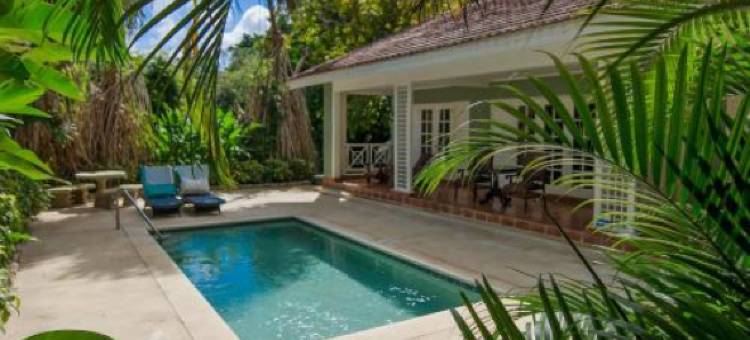 Sandals Ochi Beach All Inclusive Resort - Couples Only图片