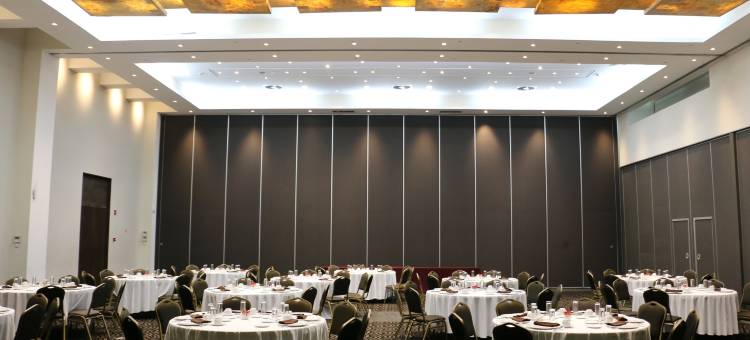 莱昂雷迪森珀里弗姆广场酒店(Radisson Poliforum Plaza Hotel Leon)图片