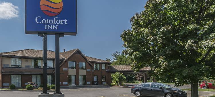 科堡舒适酒店(Comfort Inn Cobourg)图片