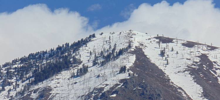 智选假日套房酒店斯普林维尔(Holiday Inn Express & Suites Springville-South Provo Area)图片