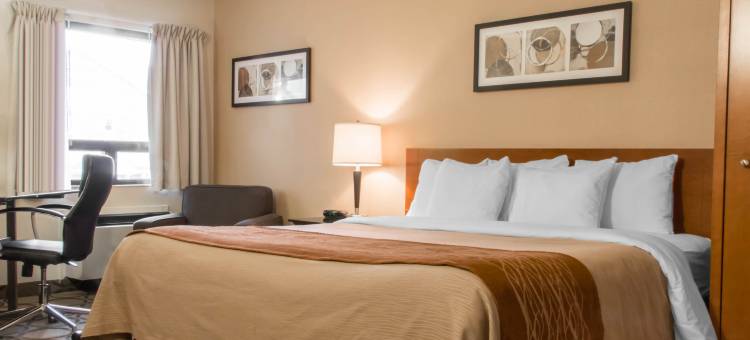 舒适酒店(Comfort Inn)图片