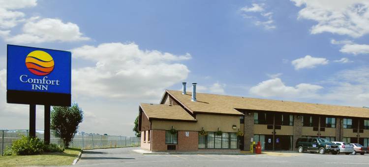 舒适酒店(Comfort Inn)图片