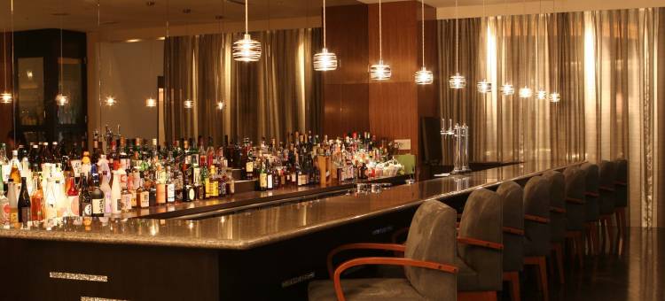 熊本新空全日空皇冠假日酒店(ANA Crowne Plaza Kumamoto New Sky)图片