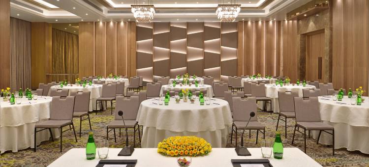 孟买安德瑞MIDC丽笙酒店(Radisson Mumbai Andheri Midc)图片