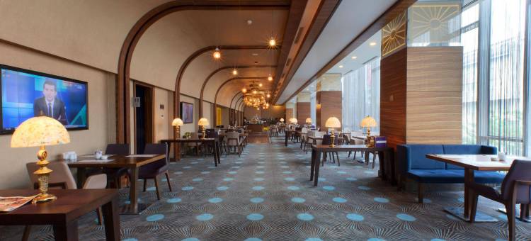 土耳其伊斯坦布尔美居酒店(Mercure Istanbul Umraniye)图片